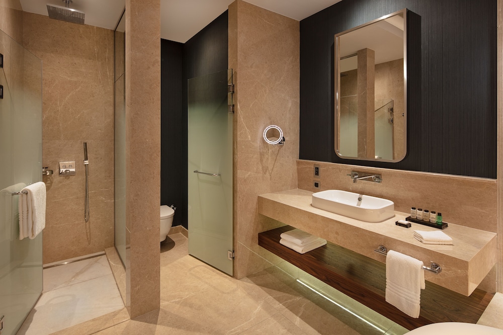 Sheraton Istanbul Levent 20/83