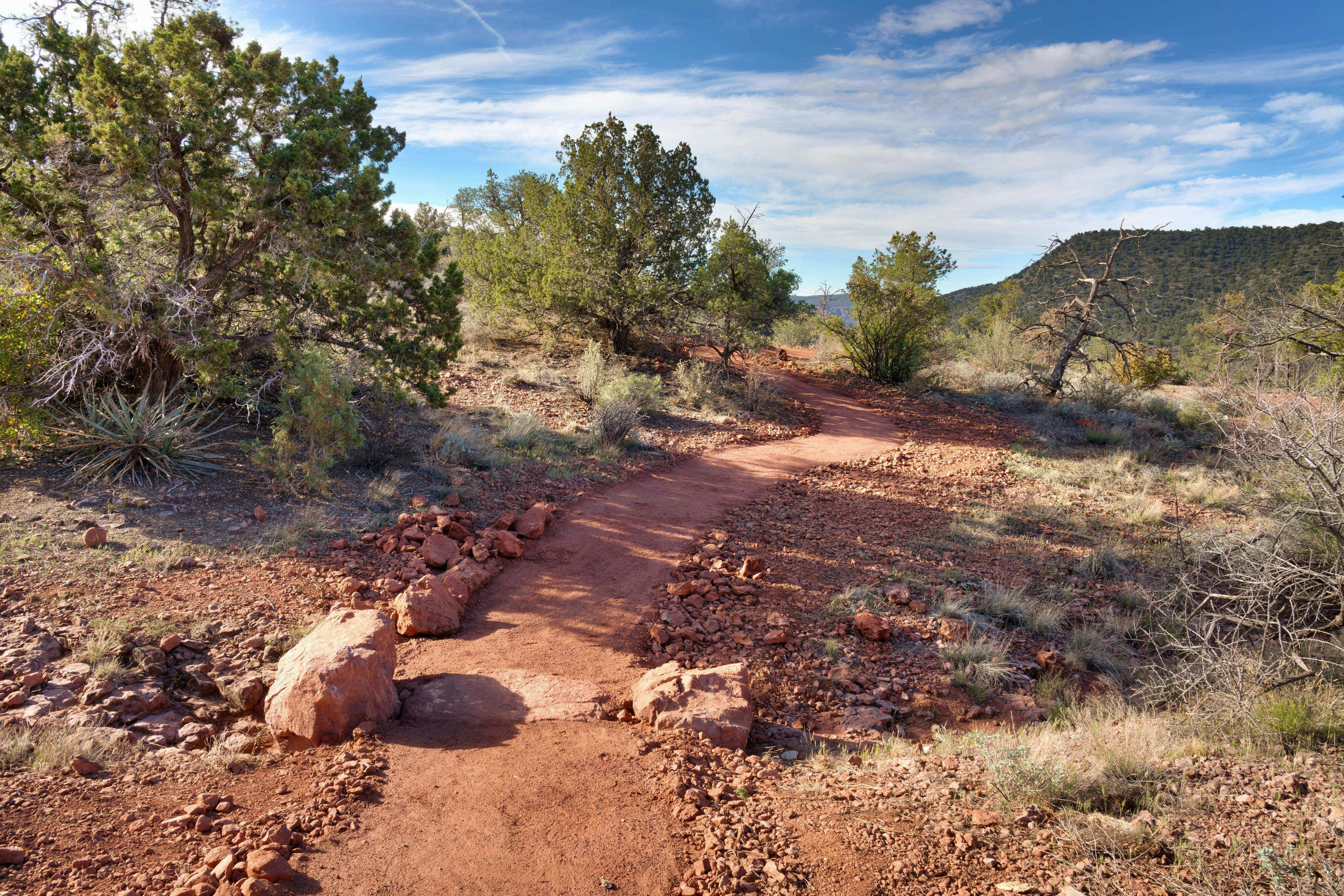 Residence Inn by Marriott Sedona 50/53