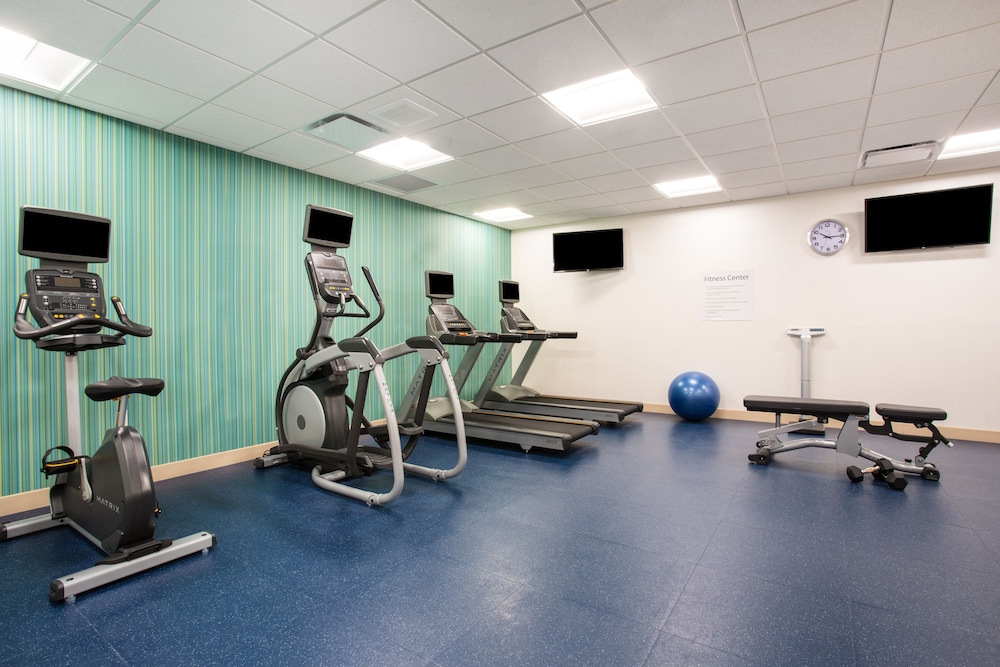 HOLIDAY INN EXPRESS & SUITES RAPID CITY - RUSHMORE SOUTH 30/50
