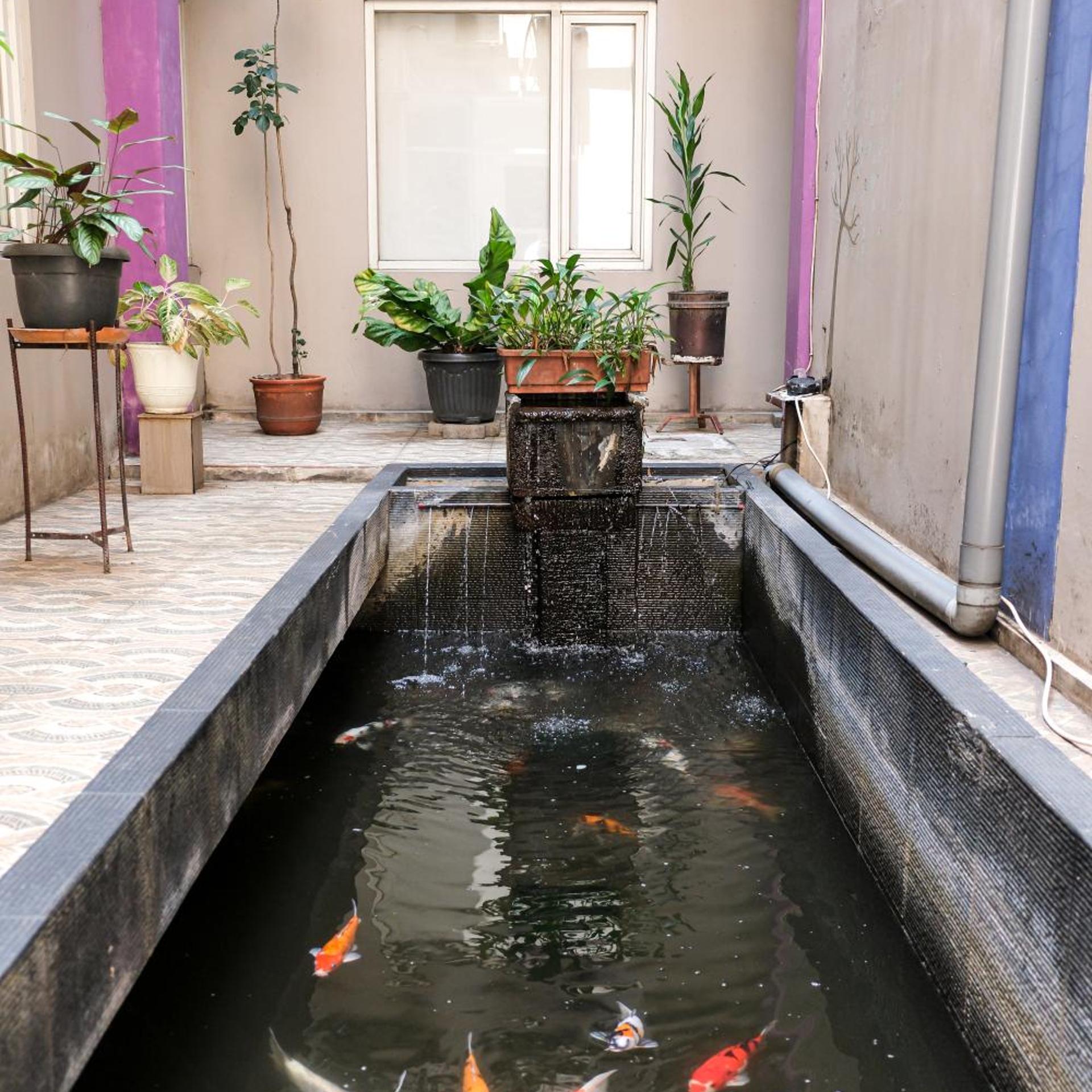 Hotel Dalu Semarang 25/50