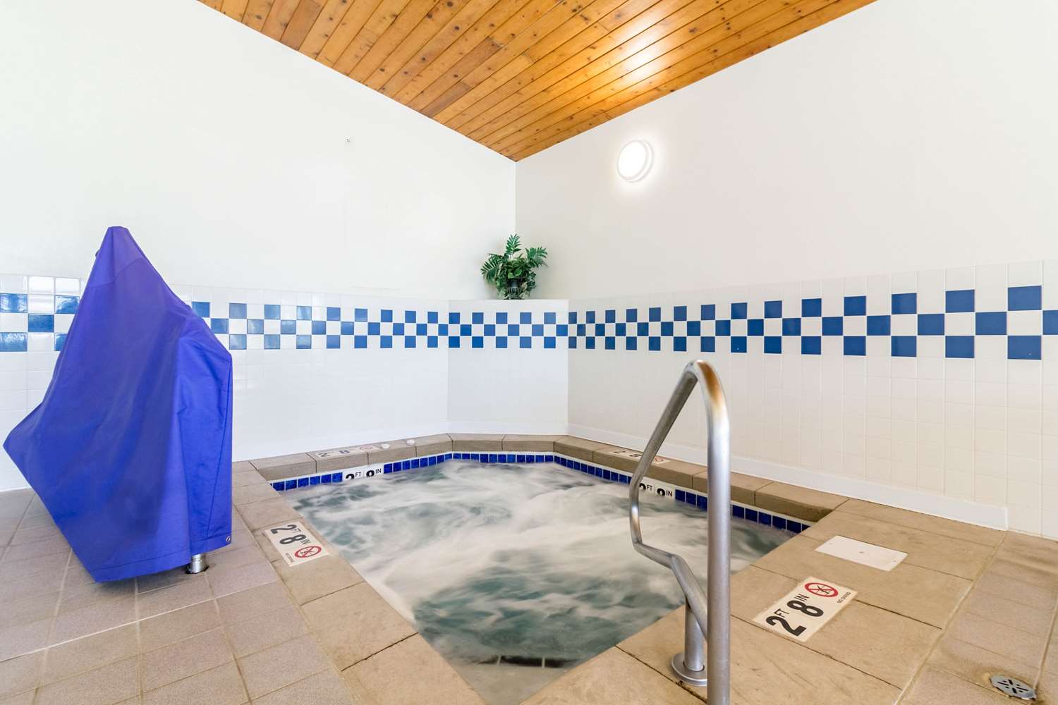 swimming pool spa