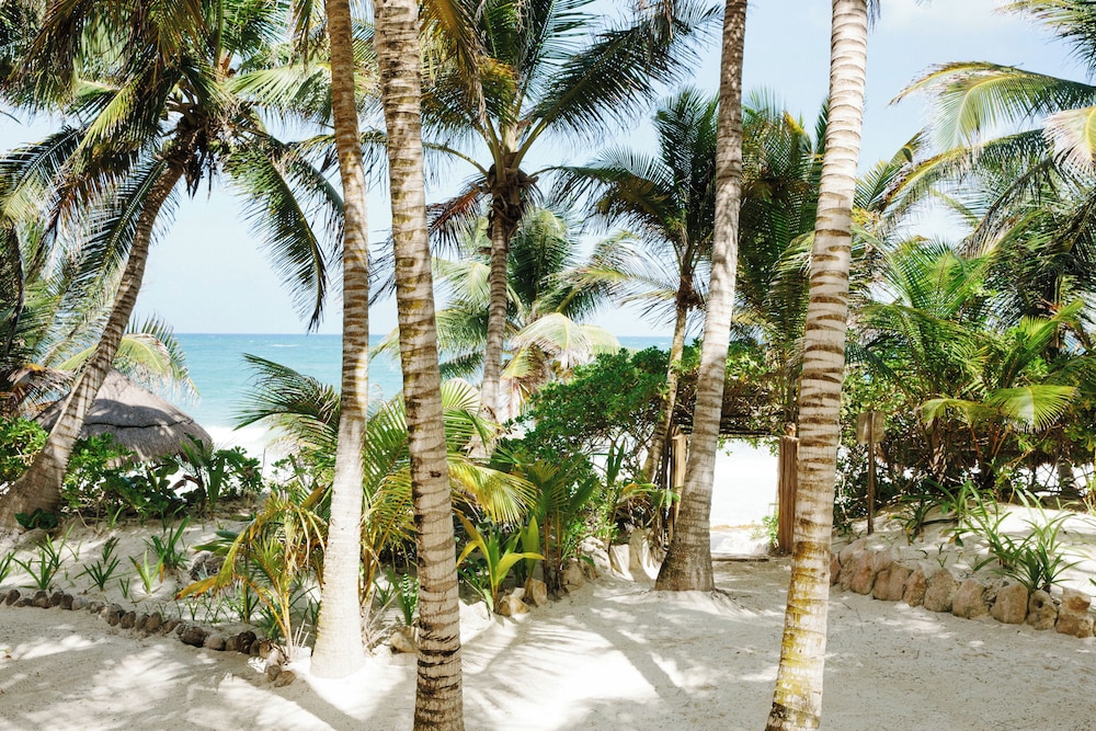 Olas Tulum 36/56