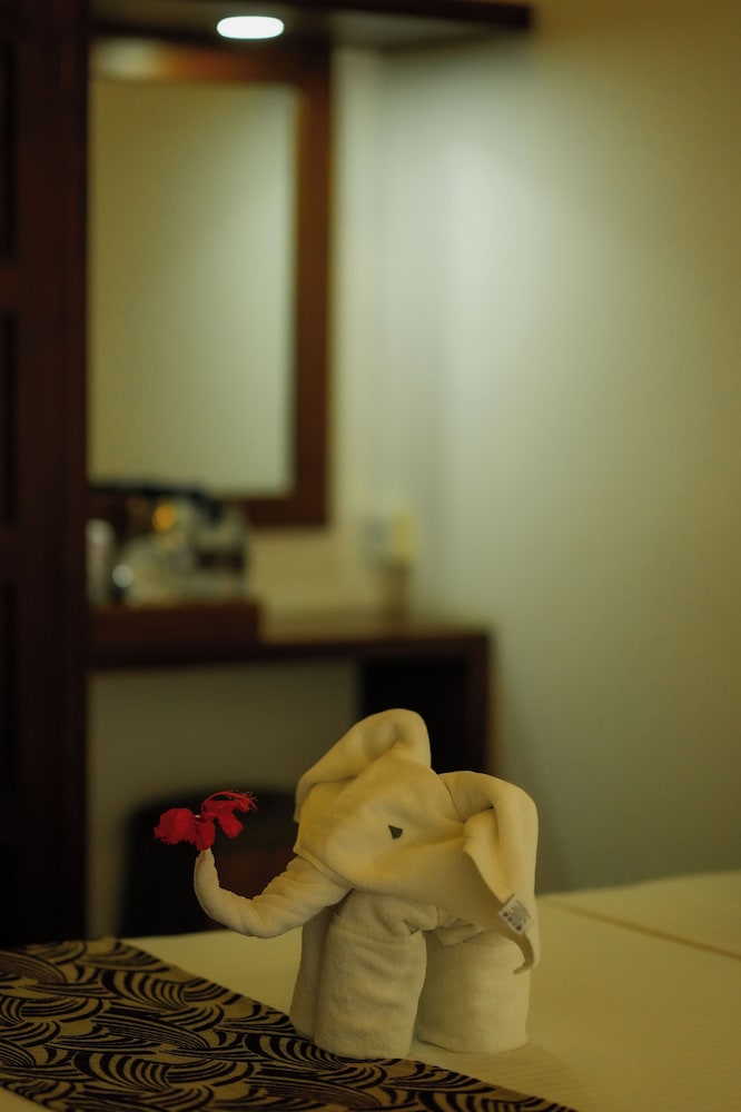 Elephant Trail 26/50