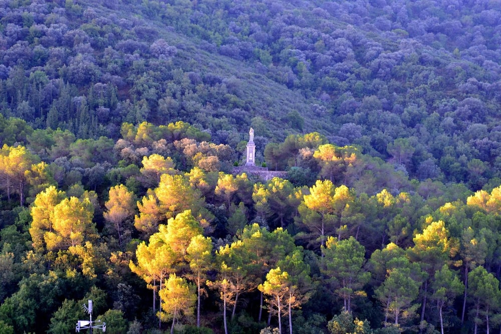 Monestir de les Avellanes 56/68