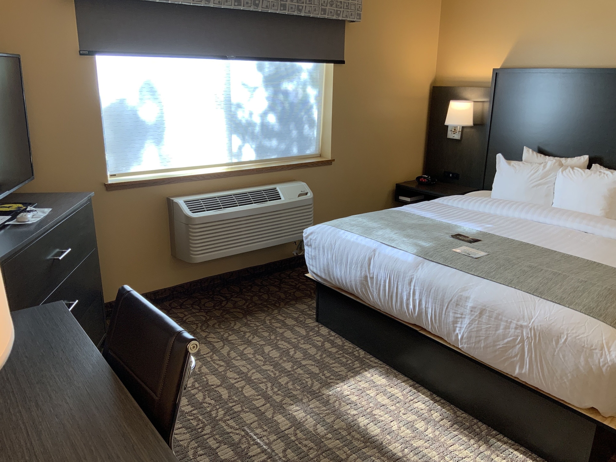 Suite, King Bed, Sofa, Living Area