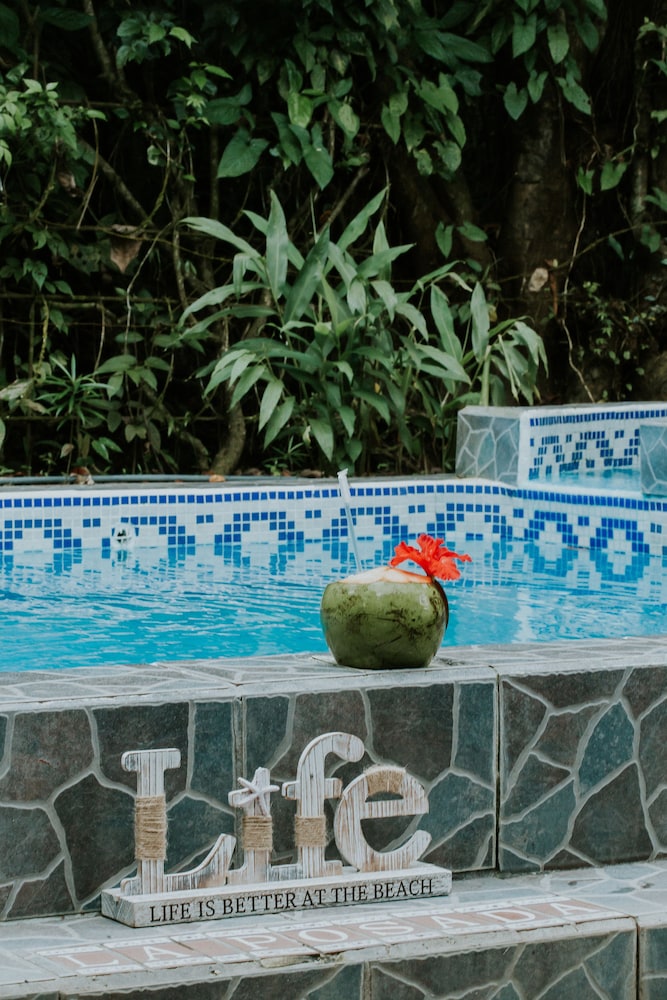 Hotel La Posada And Jungle 46/74