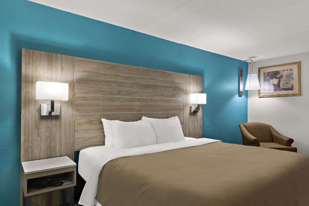 Suite, King Bed