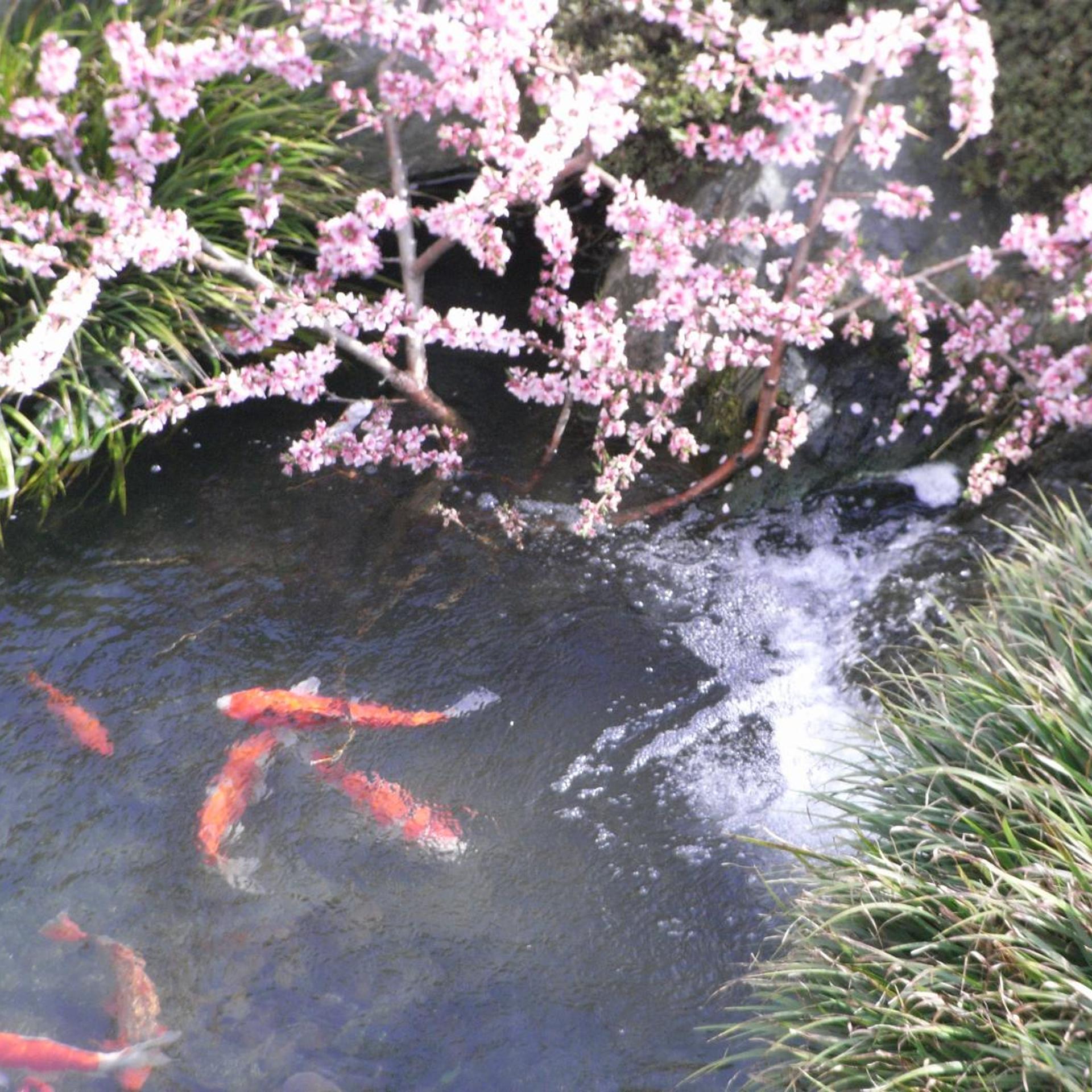 Isawa Onsen Hotel Heian 48/54