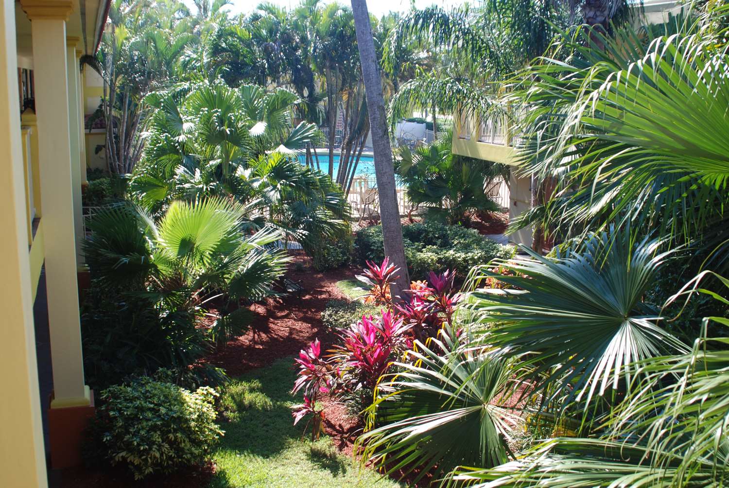 Oasis Boca Raton 43/46