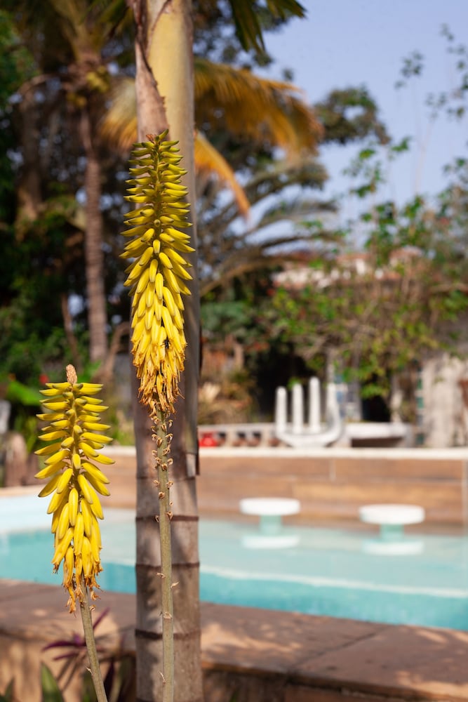 Jardim Secreto Guest House 18/26