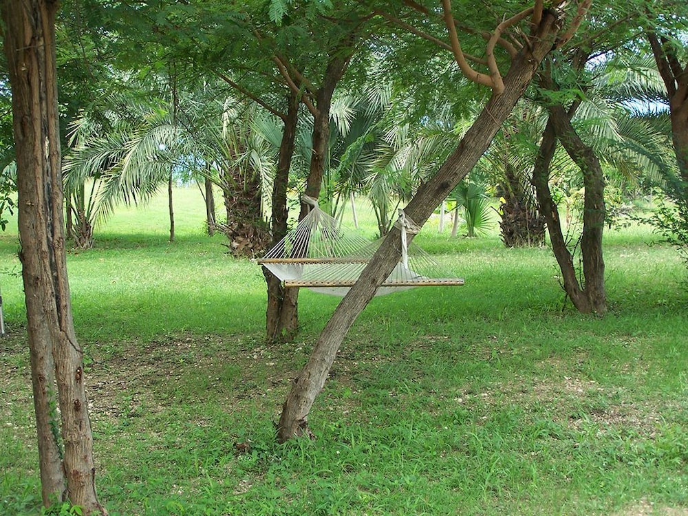 La Colline Enchantee 37/43