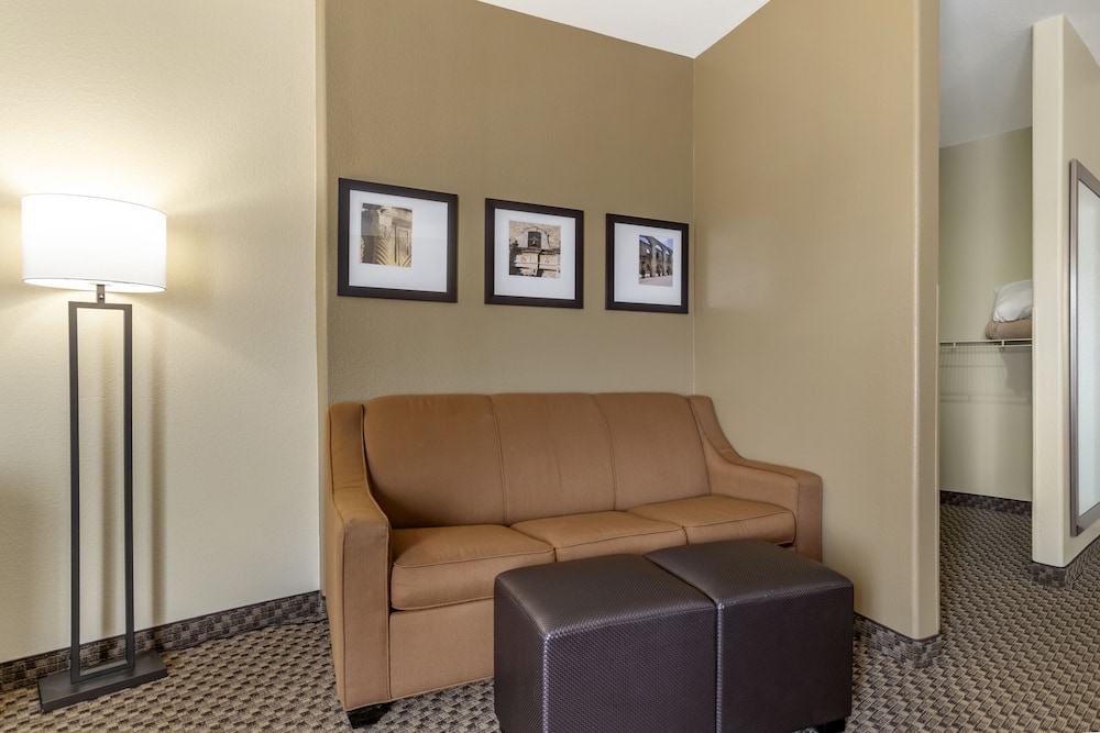 Comfort Suites Medical Center Near Six Flags 27/44