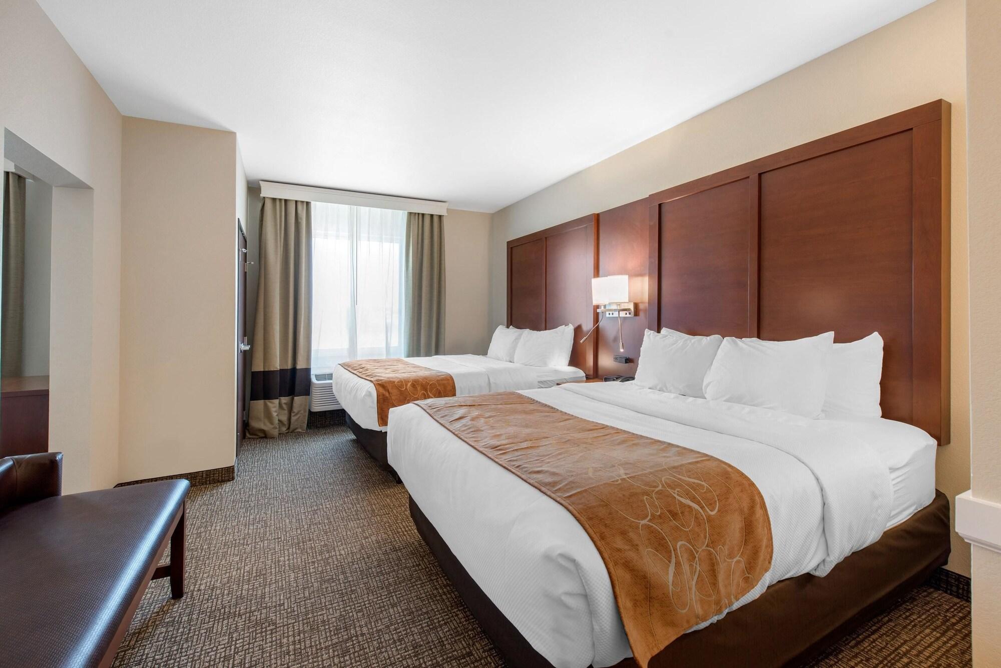 Suite, Multiple Beds