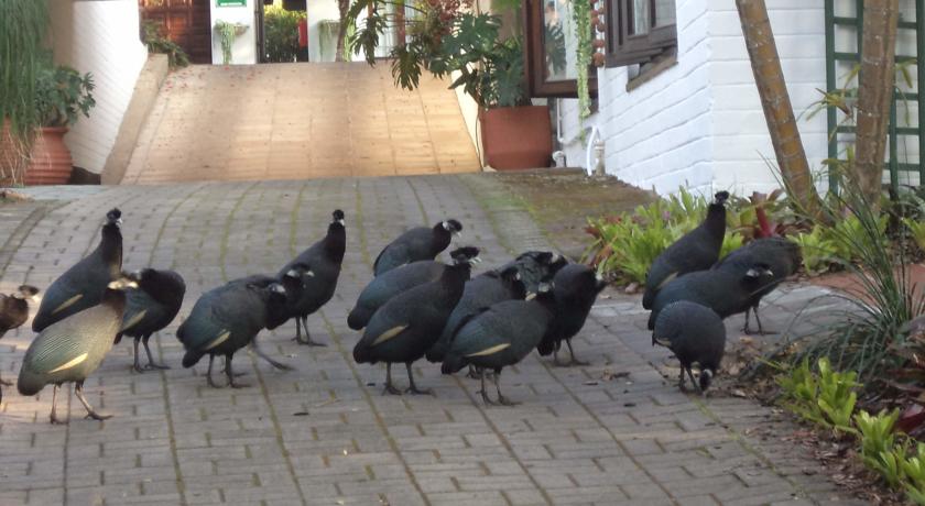 St. Lucia Wetlands Guest House 58/61
