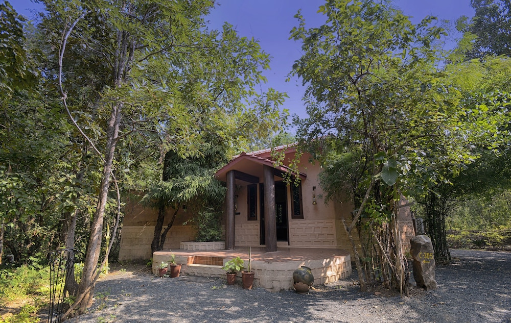 Pench Jungle Camp 3/71