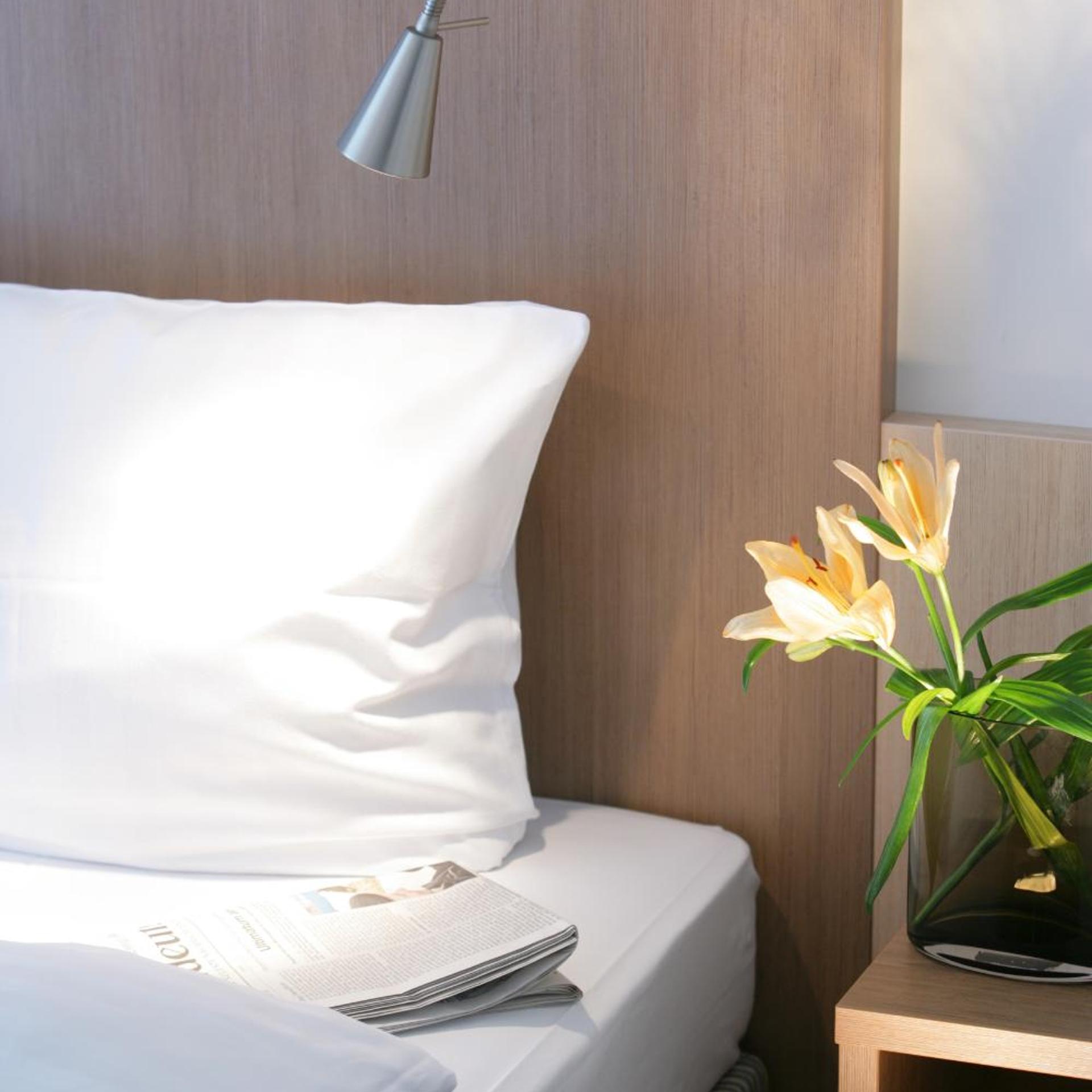 Top Hotel Senator 31/50