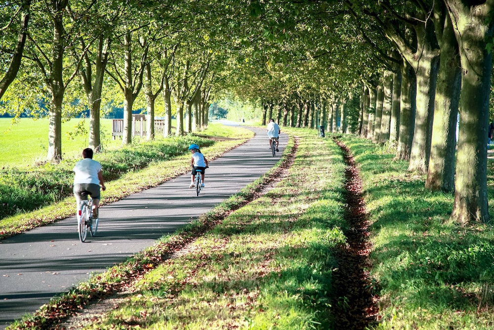 Les Maritonnes - Parc & Vignoble 34/59
