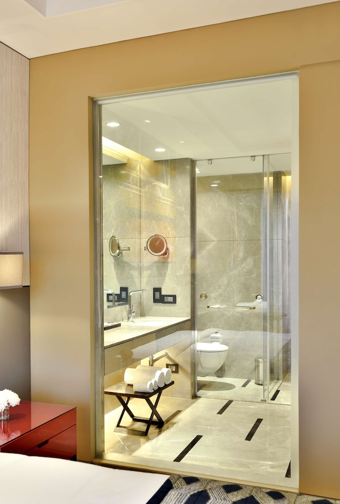 Radisson Blu Faridabad 46/75