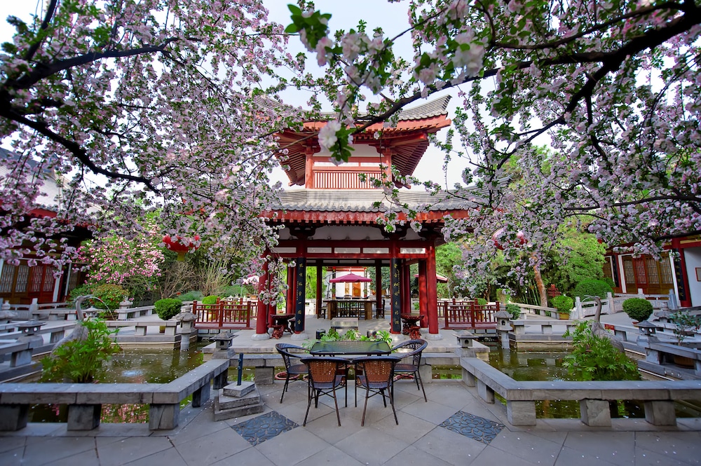 Tang Dynasty Art Garden Hotel 9/49