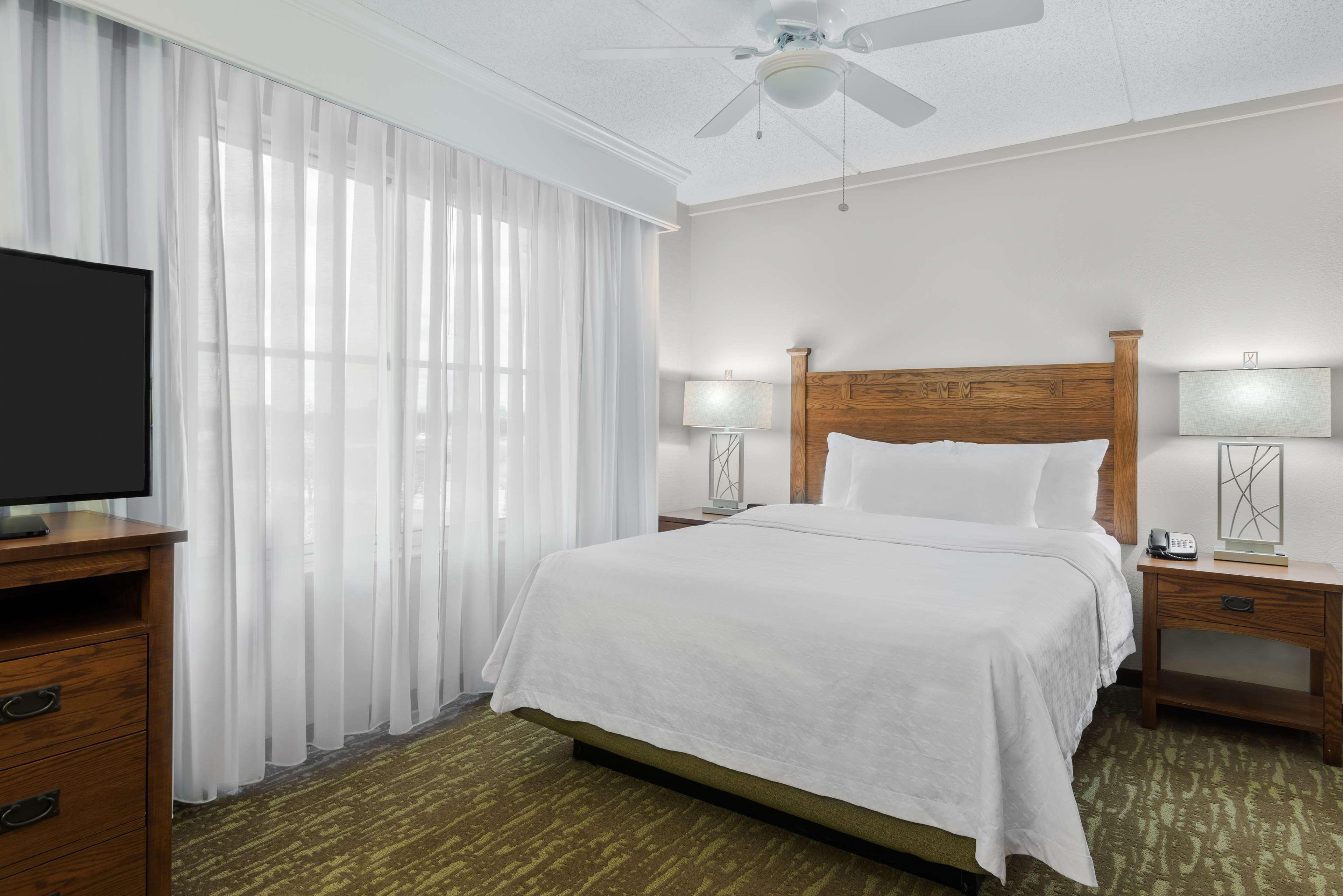 Suite, Queen Bed