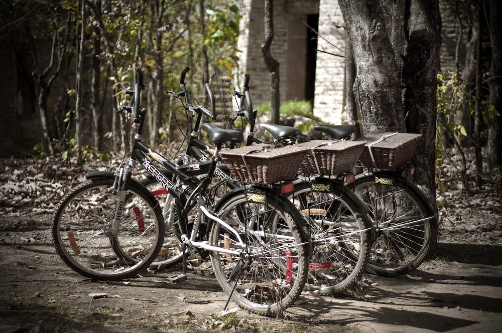Pashan Garh A Taj Safari Lodge Panna National Park 23/26