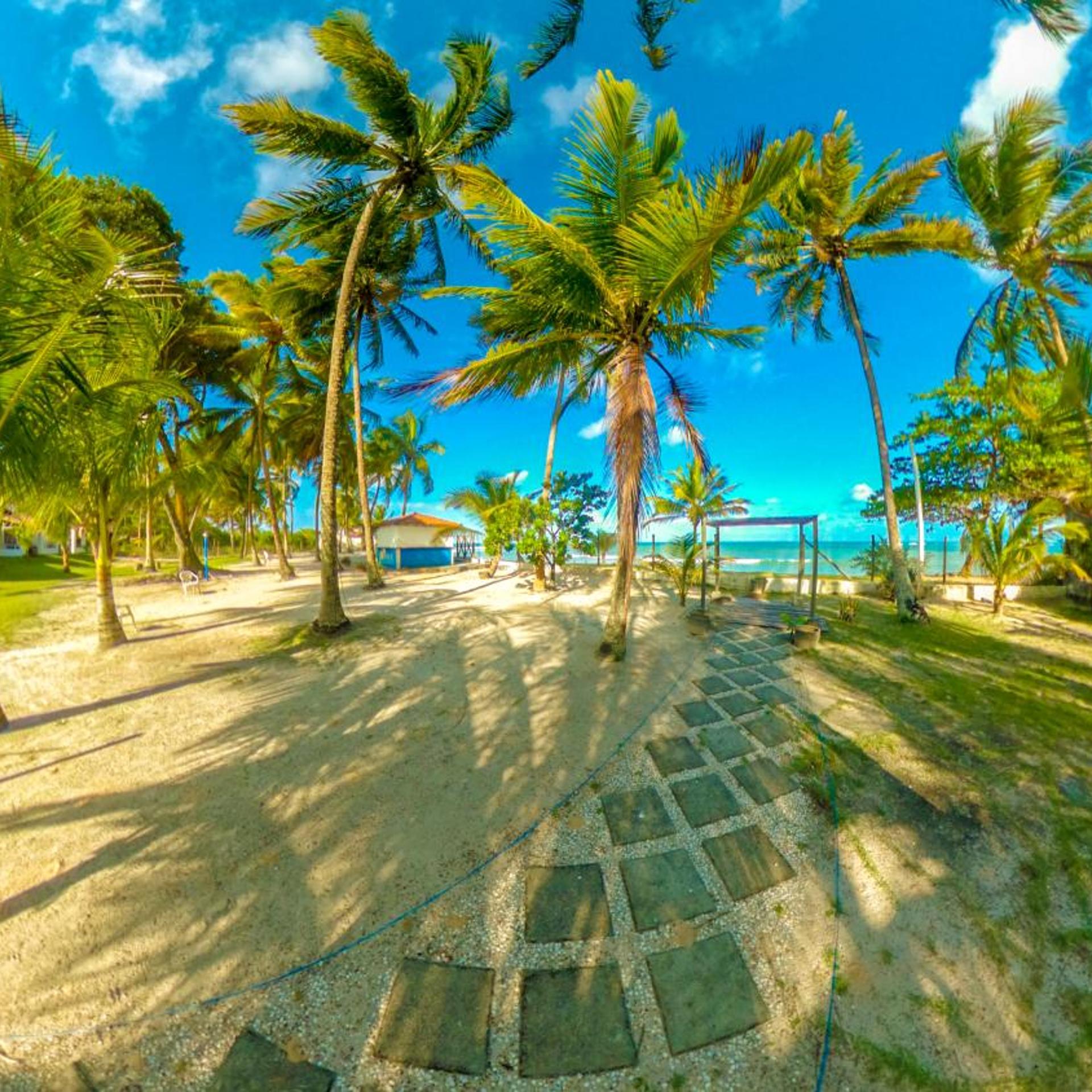 Alma Tropical Resort 19/50