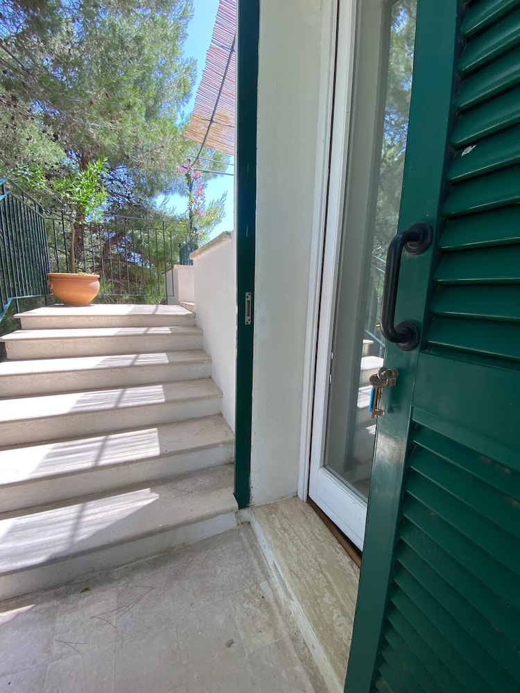 Tenuta Belvedere 23/50