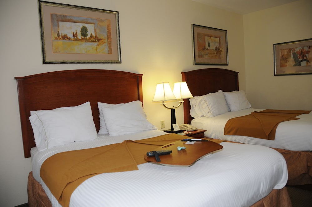 Holiday Inn Express Hotel And Suites Dallas Grand Prairie I 20 21/80