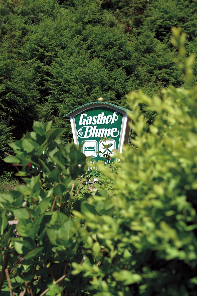 Gasthof Blume 50/50