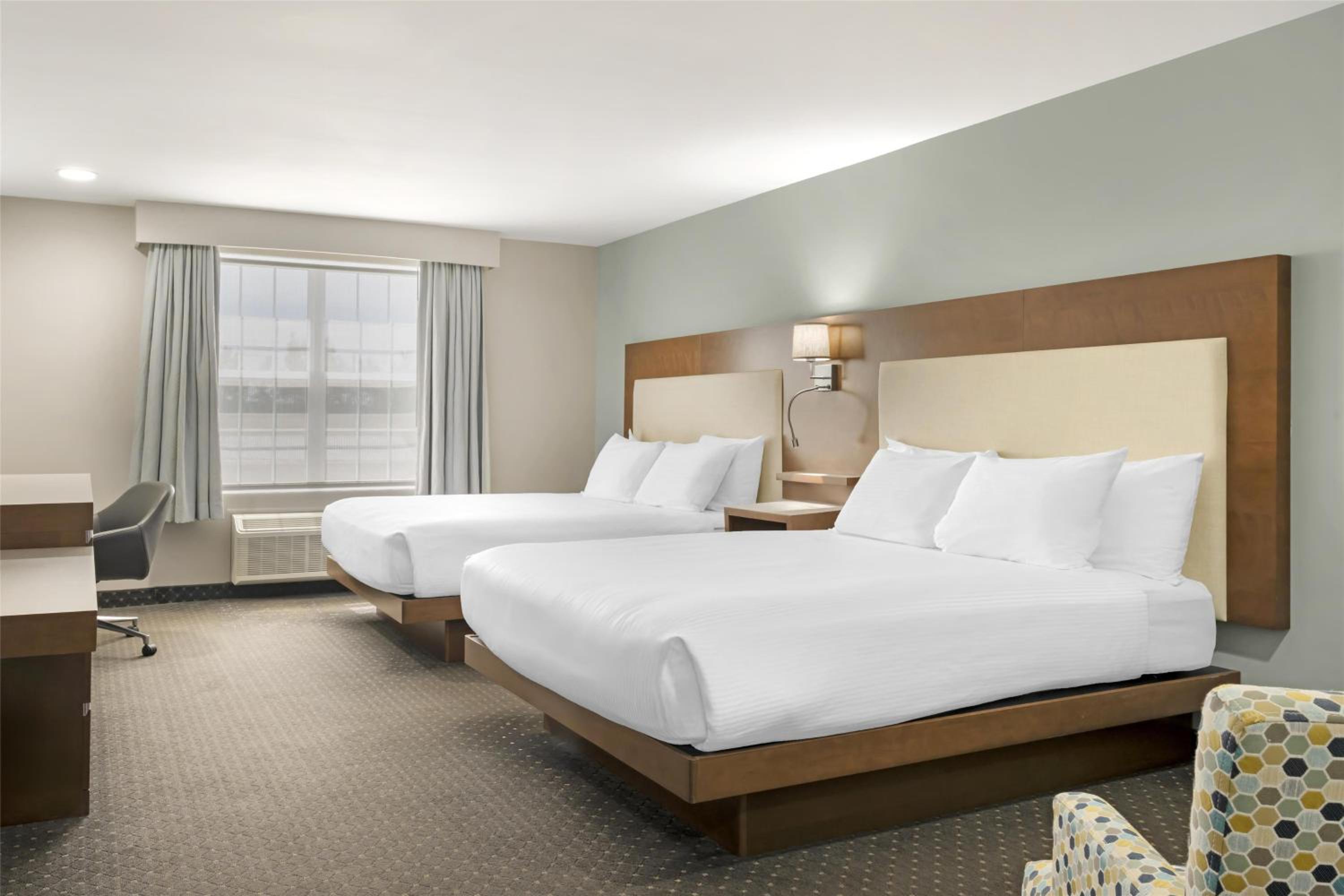 Deluxe, Queen Bed