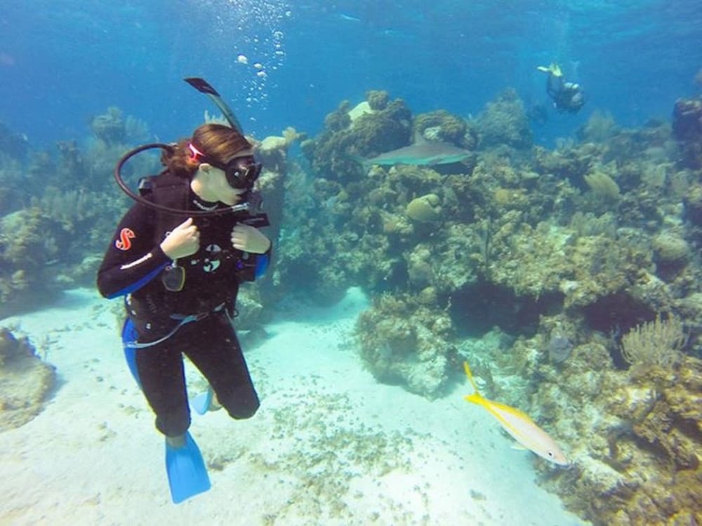 Green Turtle Club Resort Marina 31/46