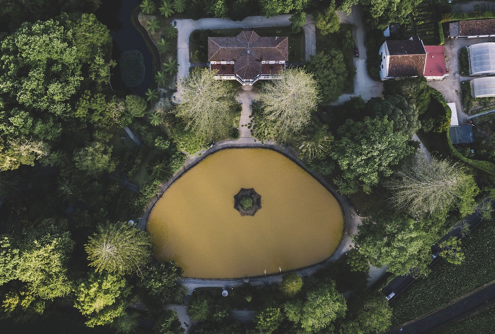 Terra Nostra Garden Hotel 5/85