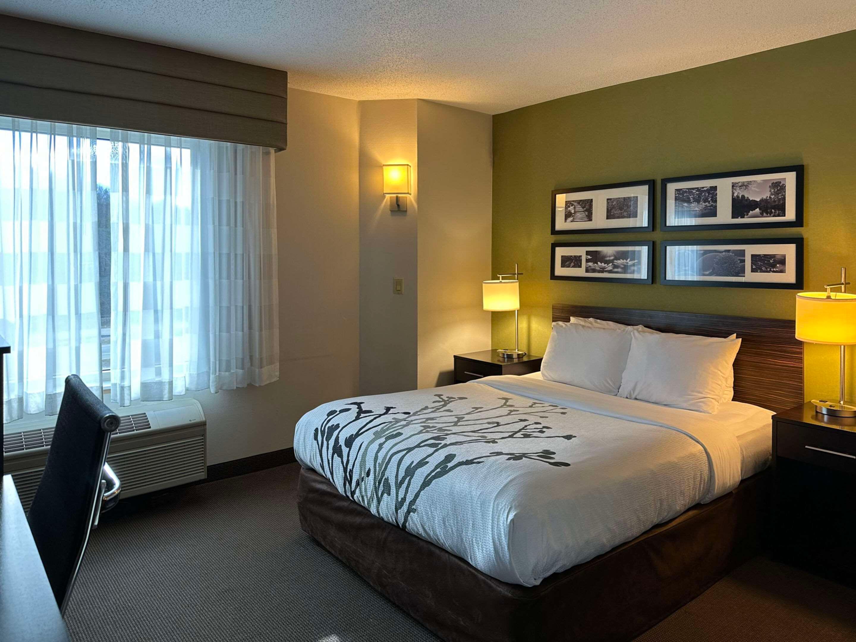 Room, Queen Bed