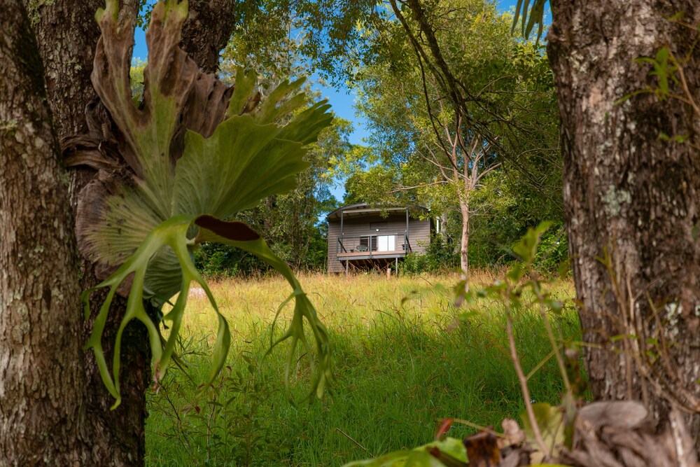 Whispering Valley Cottage Retreat 44/50