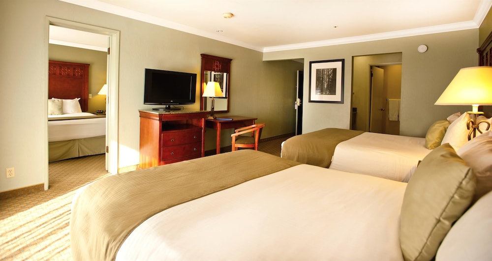 Best Western Plus Forest Park Inn 17/53