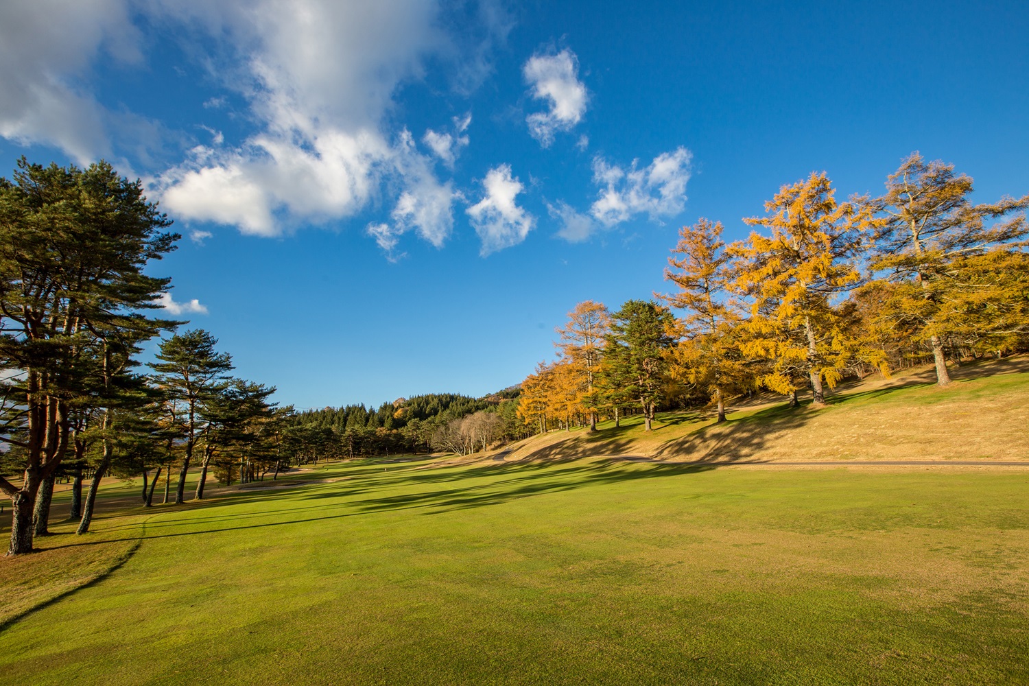 Karuizawa Asama Prince Hotel 43/47