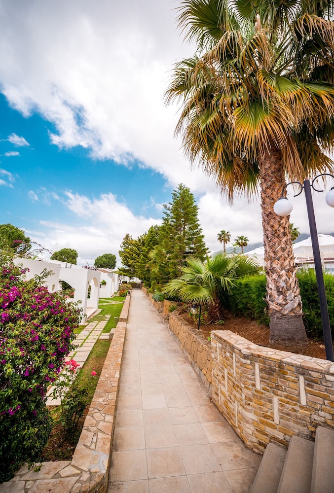 The Olive Tree Hotel 42/50