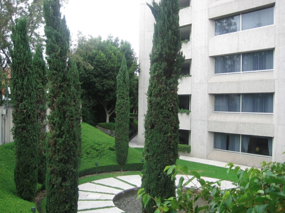 Royal Pedregal Hotel 6/47