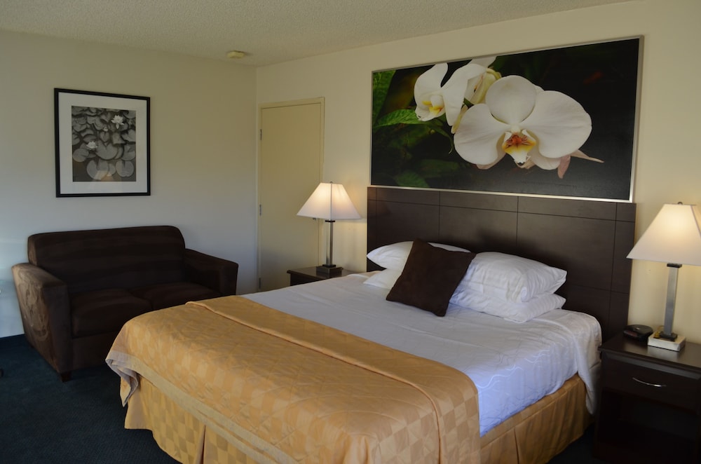 Royal Plaza Inn Indio 33/61