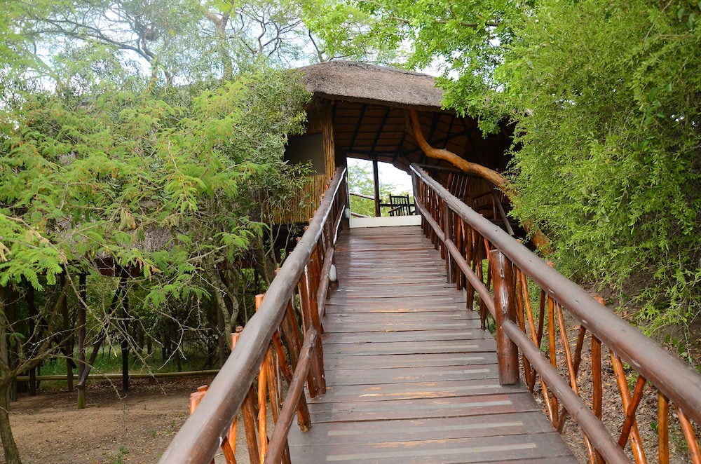 Pezulu Tree House Lodge 37/50