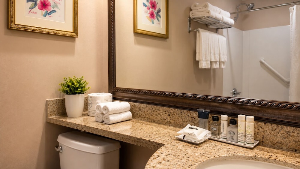 شقة أساسية بسرير كينج مع أريكة، Hotel Boston 6/7