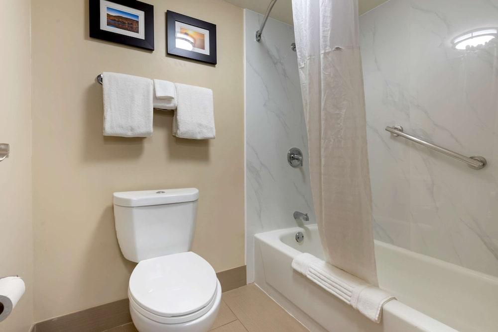 Comfort Inn Binghamton 19/35