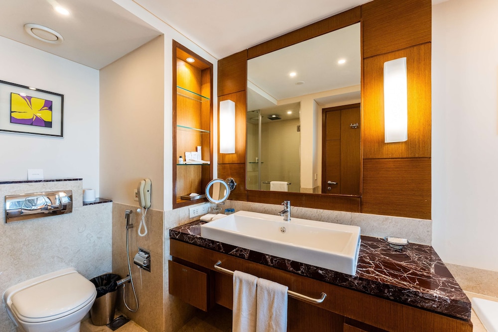 Radisson Blu Hotel Indore 49/50