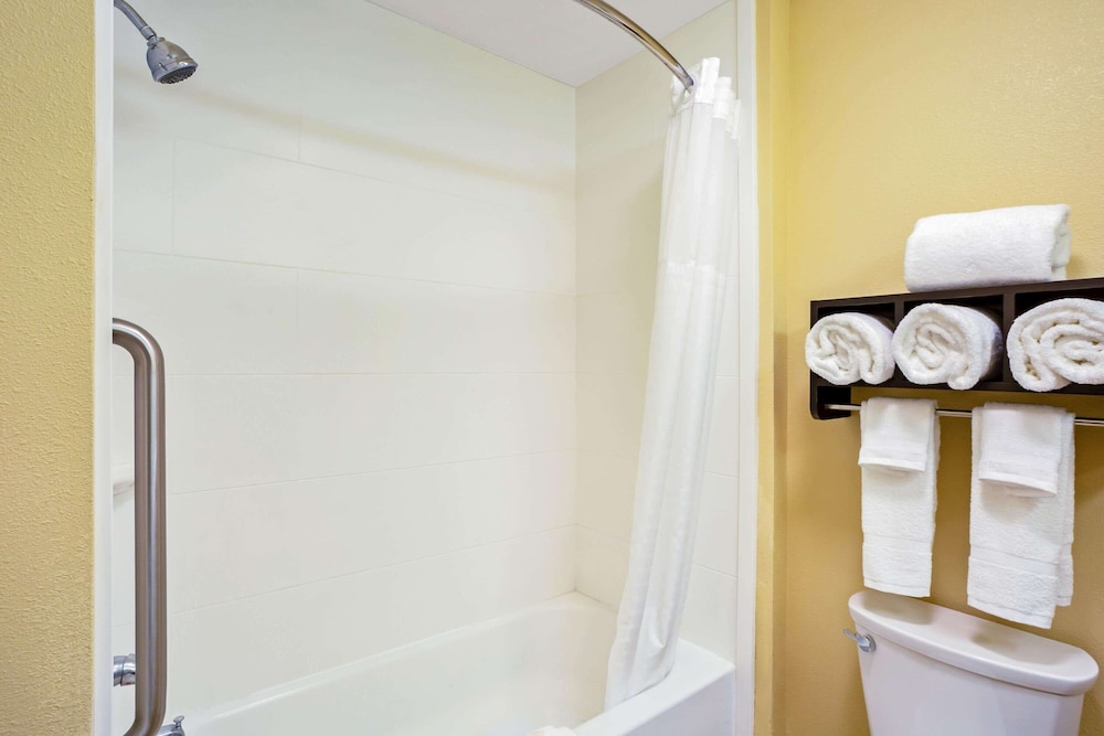 La Quinta Inn & Suites by Wyndham Pecos 26/62