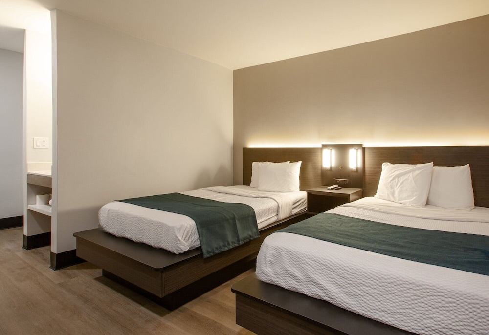 STANDARD, 2 QUEEN BEDS