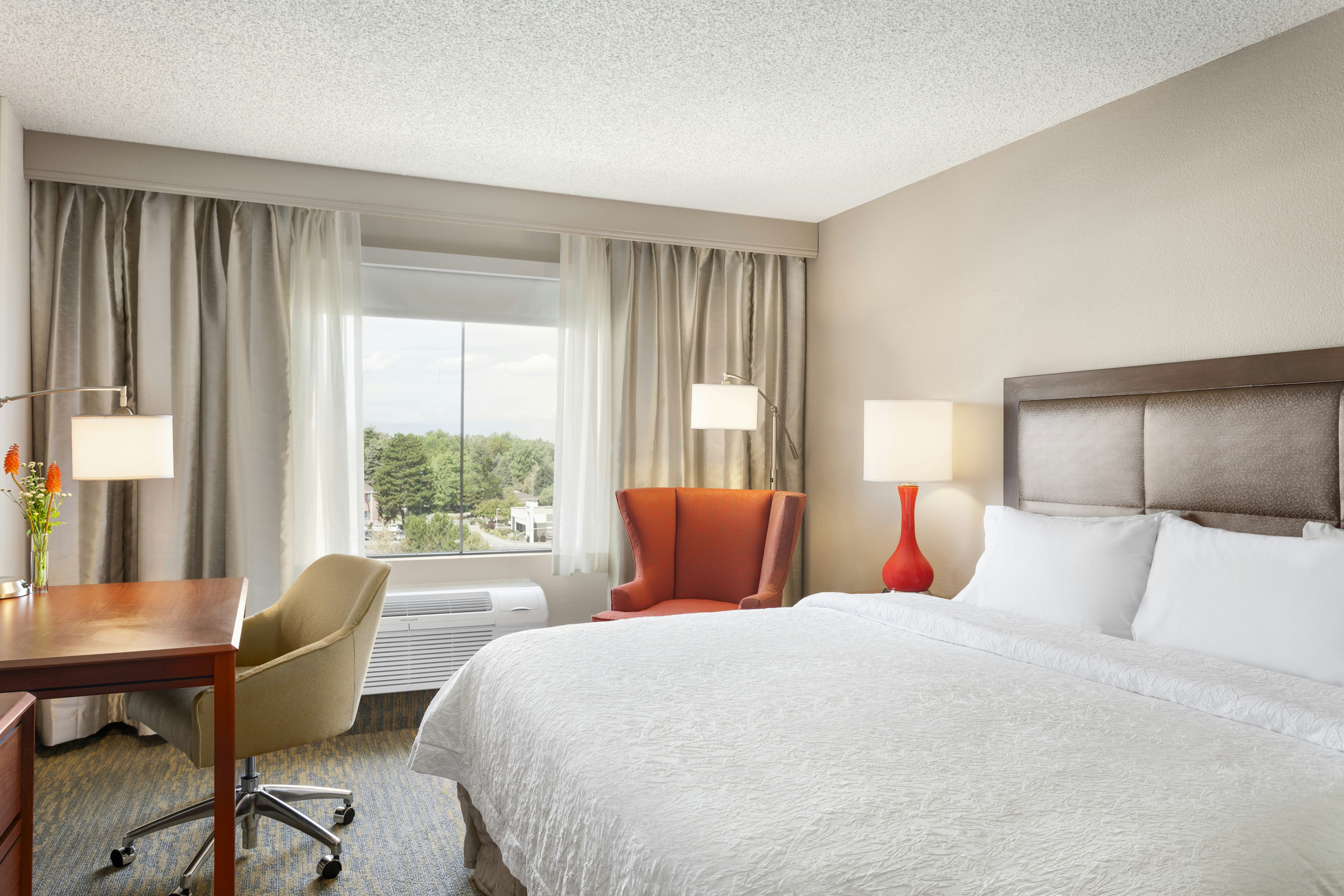 Room, King Bed, Accessible