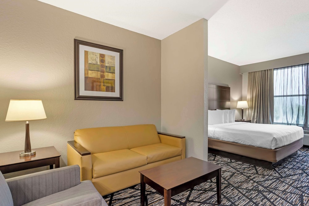 Best Western Plus Hobby Airport Inn and Suites 20/58