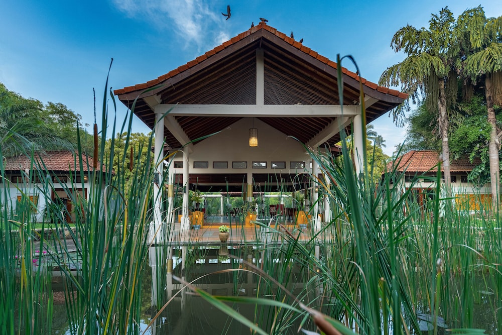 Serene Pavillion 1/50