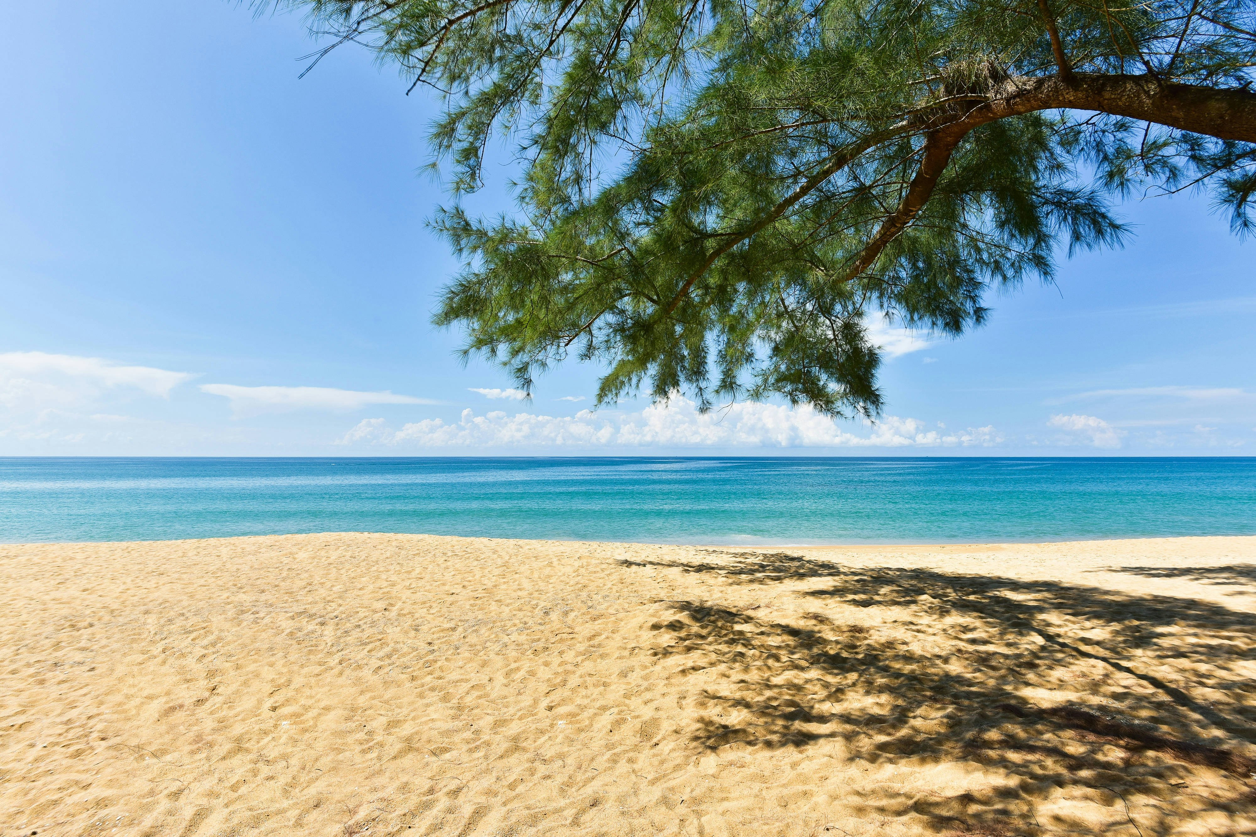 Renaissance Phuket Resort And Spa 37/50