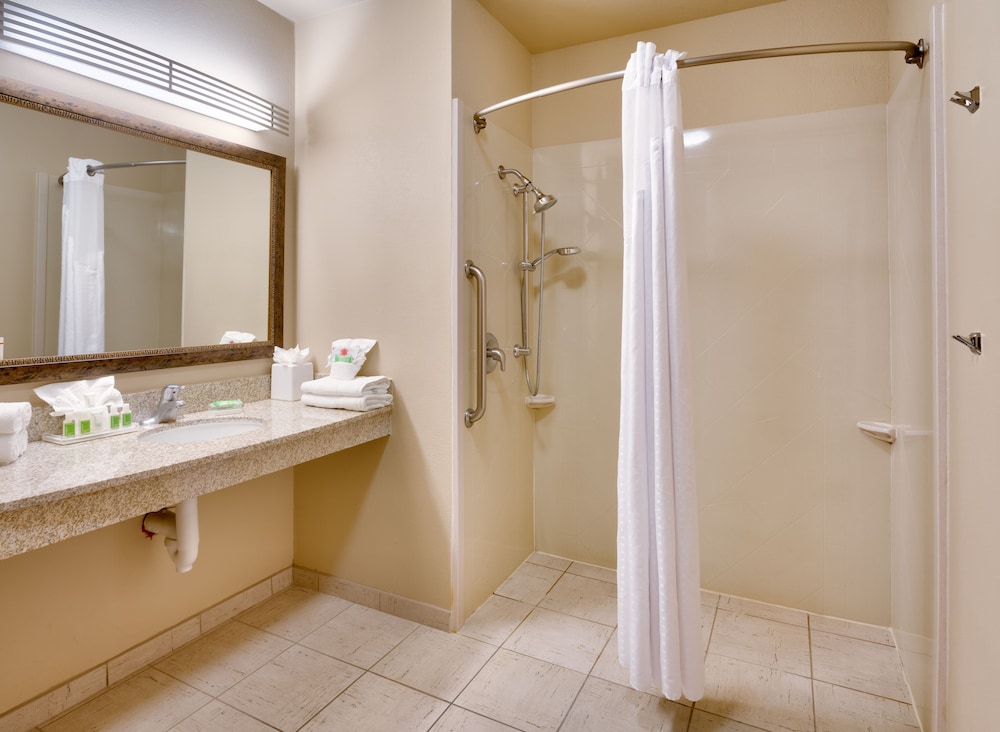 Holiday Inn Hotel & Suites Salt Lake City-Airport West 10/47